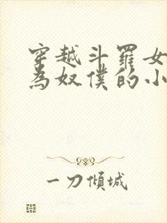 穿越斗罗女人变为奴仆的小说