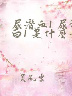 尿潜血1 尿蛋白1 是什么意思