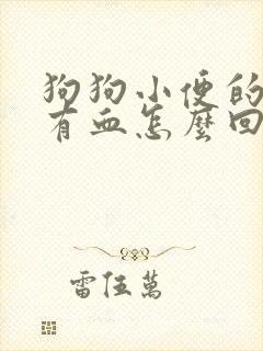 狗狗小便的地方有血怎么回事