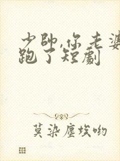 少帅,你老婆又跑了短剧