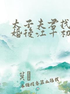 太子夫君找人替婚后江千初李祈桢无删减完