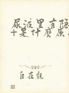 尿液里有隐血2+是什么原因