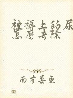 被褥上的尿骚味怎么去除