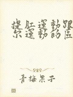 提肛运动跟凯格尔运动的区别