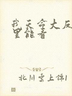 我天命大反派哪里能看