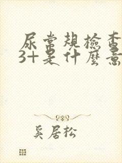 尿常规检查隐血3+是什么意思