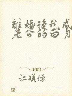 离婚后我成了渣老公的白月光