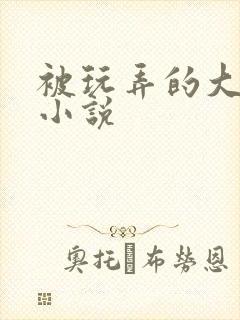 被玩弄的大小姐小说