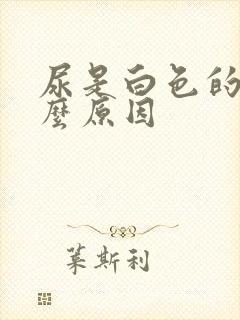 尿是白色的是什么原因