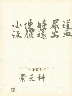 小便时尿道刺痛流脓还出血男