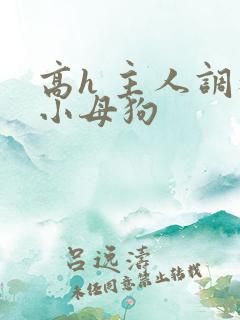 高h 主人调教小母狗