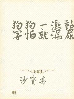 狗狗一激动或者害怕就漏尿是怎么回事