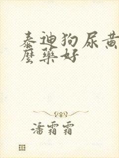 泰迪狗尿黄吃什么药好