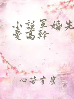 小说军婚先婚后爱高干