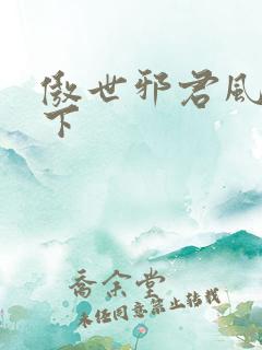 傲世邪君风凌天下