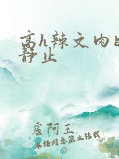 高h辣文肉时间静止