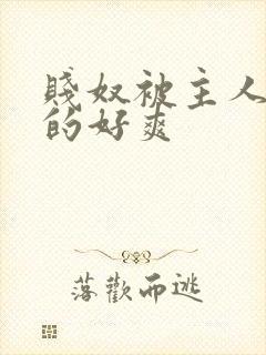 贱奴被主人调教的好爽