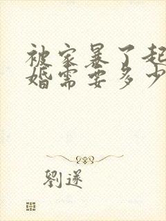 被家暴了起诉离婚需要多少费用