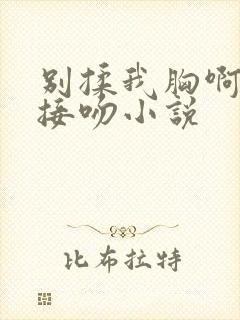 别揉我胸啊嗯～接吻小说