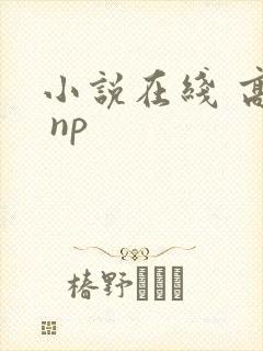 小说在线 高h np