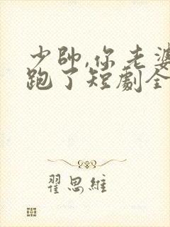 少帅,你老婆又跑了短剧全集