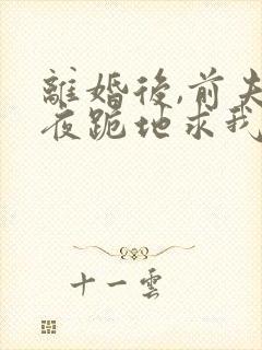 离婚后,前夫雨夜跪地求我复婚结局