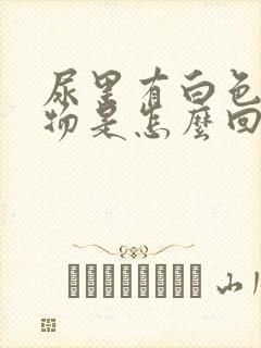 尿里有白色沉淀物是怎么回事