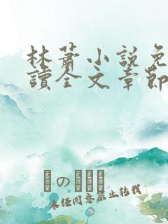 林萧小说免费阅读全文章节