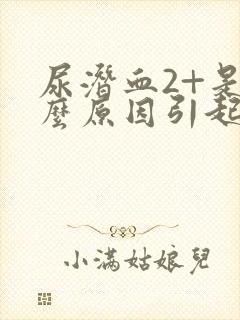 尿潜血2+是什么原因引起的