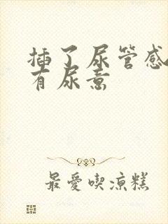 插了尿管感觉总有尿意