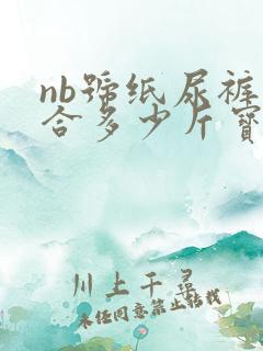 nb号纸尿裤适合多少斤宝宝用
