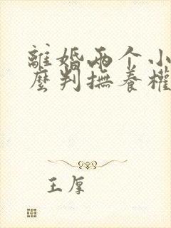 离婚两个小孩怎么判抚养权