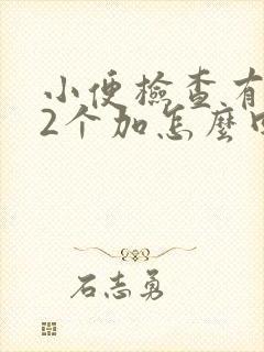 小便检查有隐血2个加怎么回事呢