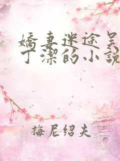 娇妻迷途吴铁军丁洁的小说