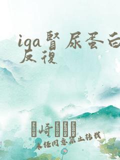 iga肾尿蛋白反复