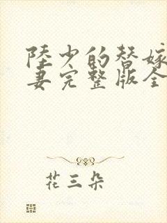 陆少的替嫁小娇妻完整版全文阅读