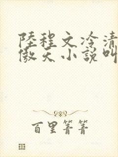 陆程文冷清秋龙傲天小说叫什么名字
