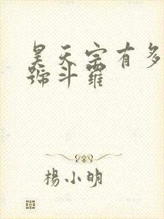 昊天宗有多少封号斗罗