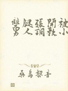 双腿张开被多个男人调教小说