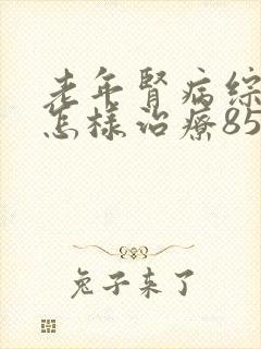 老年肾病综合症怎样治疗85岁