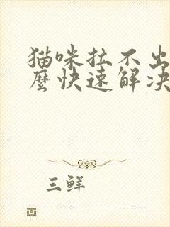 猫咪拉不出尿怎么快速解决