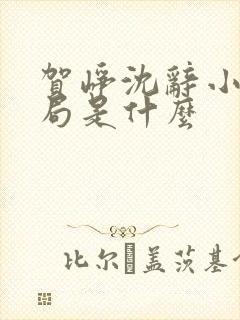 贺峥沈辞小说结局是什么