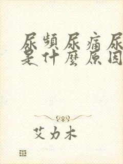 尿频尿痛尿出血是什么原因