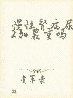 慢性肾病尿蛋白2加严重吗