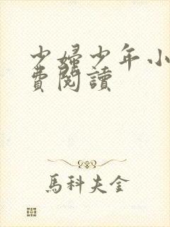 少妇少年小说免费阅读