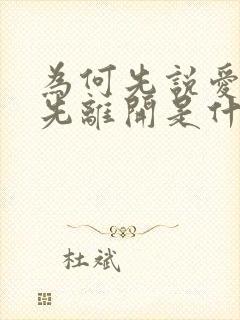 为何先说爱的人先离开是什么歌