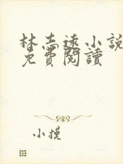 林志远小说全文免费阅读