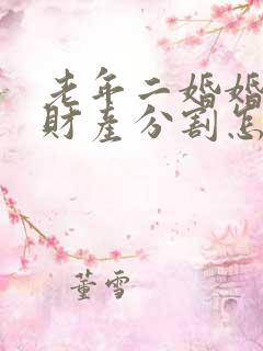 老年二婚婚姻法财产分割怎么分