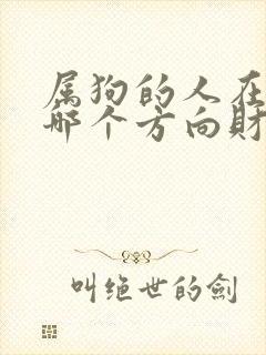 属狗的人在今年哪个方向财运好