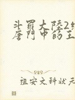 斗罗大陆2绝世唐门中的王冬